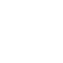 Icon services white